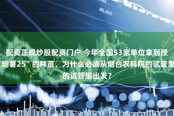 配资正规炒股配资门户 今年全国53家单位拿到授权！“烟薯25”的种苗，为什么必须从烟台农科院的试管里出发？